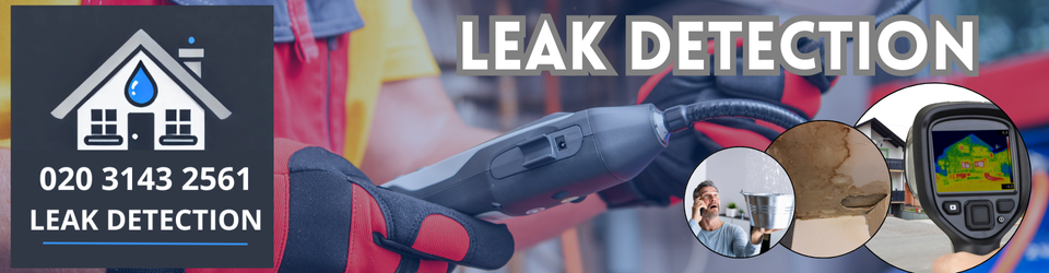 Acton Leak Detection