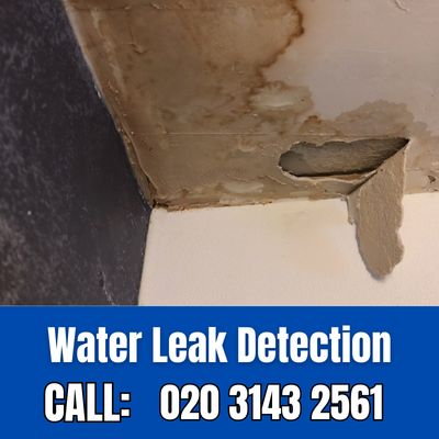 Expert Water Leak Detection Services in Acton | Acton Leak Detection